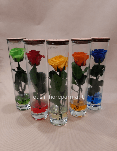 Rose stabilizzata in vetro 