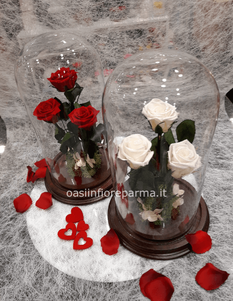Rose stabilizzate medie in cupola di vetro 